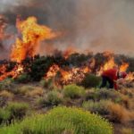 incendio-neuquen