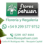 Floreria Pehuen Institucional