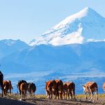 volcan-lanin